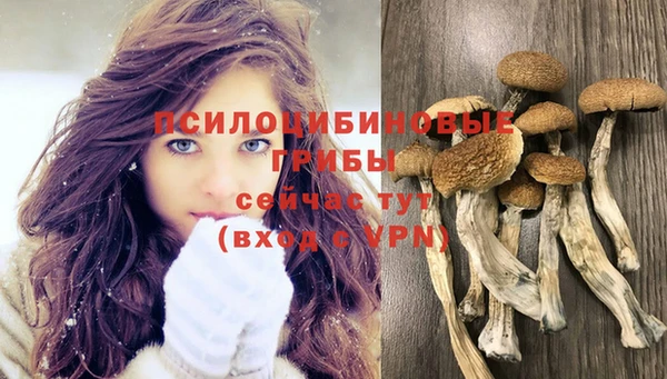гидропоника Алексин