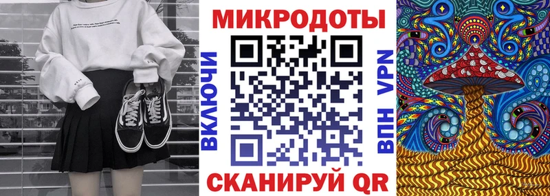 Галлюциногенные грибы Psilocybe  blacksprut ссылки  Кызыл  где найти наркотики 