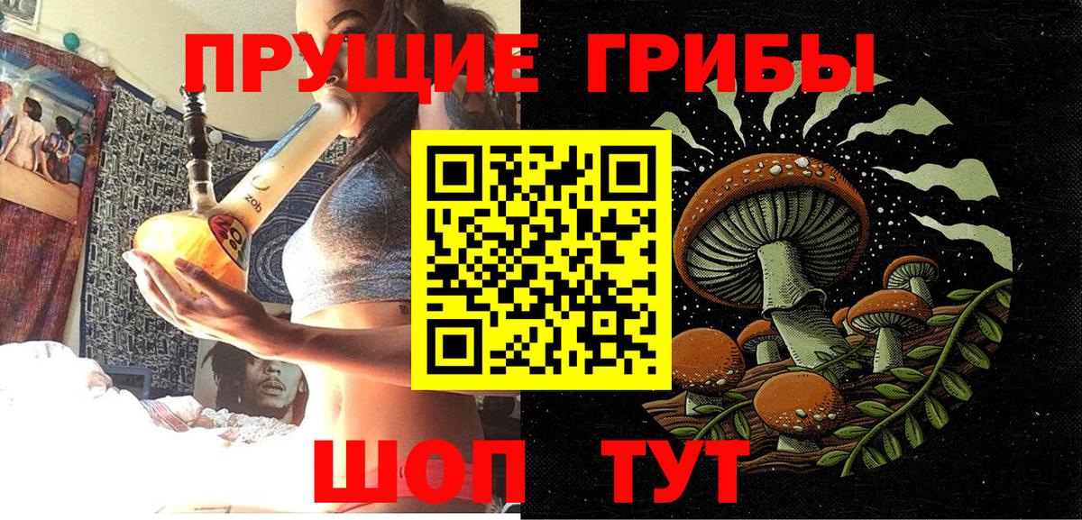 Псилоцибиновые грибы мицелий Кызыл