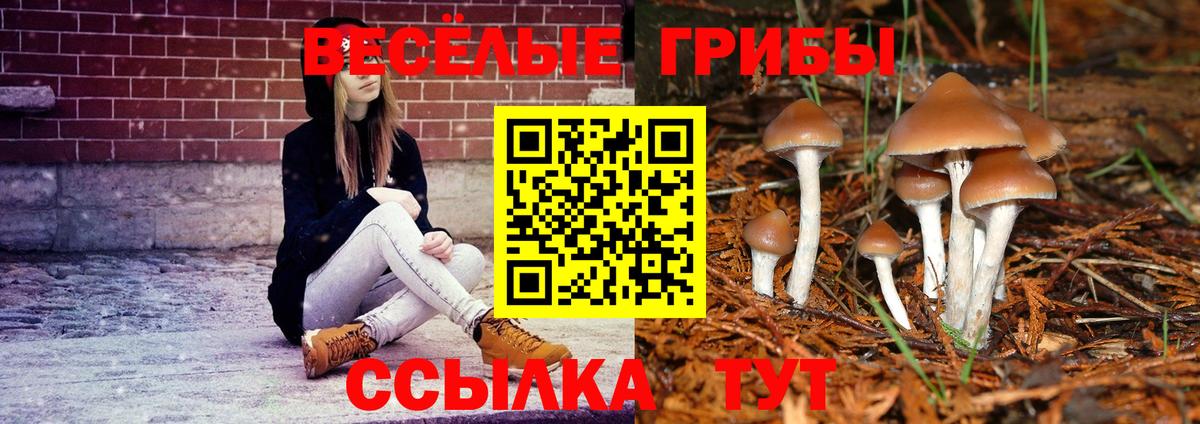 Псилоцибиновые грибы мухоморы  Вход с VPN  Кызыл  Псилоцибиновые грибы мухоморы 