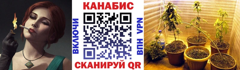 shop формула  Кызыл  Бошки Шишки Amnesia 