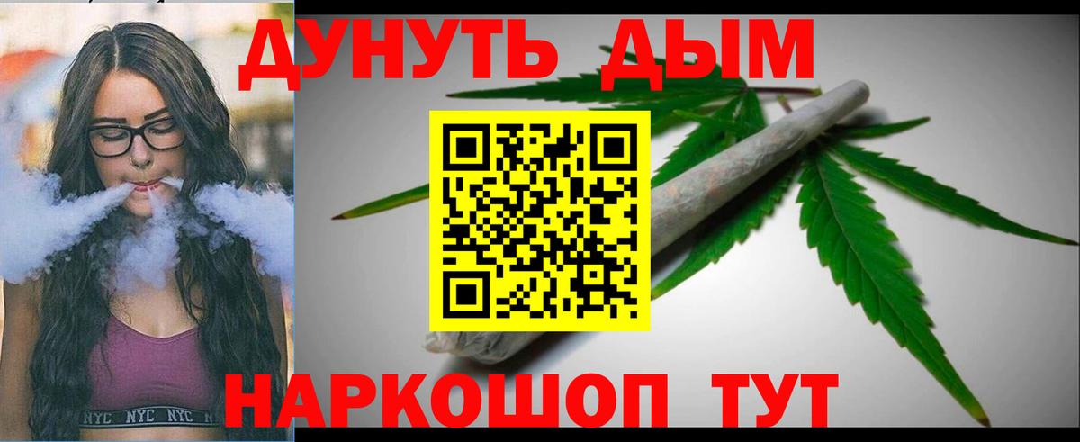 Марихуана тримм  Вход с VPN  Кызыл  Марихуана сатива  Бошки марихуана планчик 